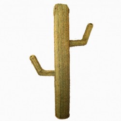 Cactus esparto